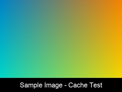 Sample Image